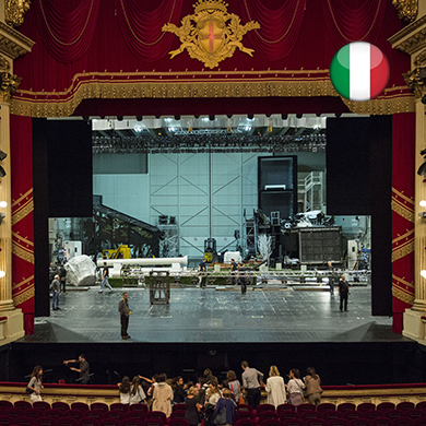 Locandina evento INGRESSO MUSEO CON VISITA GUIDATA TEATRO IN ITALIANO