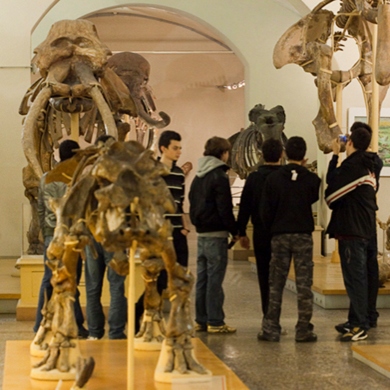 Locandina evento MUSEO DI STORIA NATURALE, GEOLOGIA E PALEONTOLOGIA FIRENZE