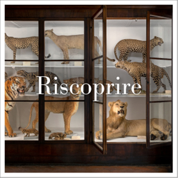 immagine Evento Happyticket