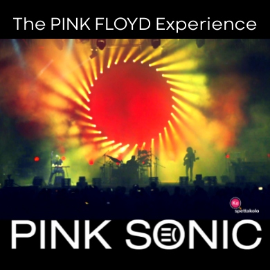 Locandina evento PINK SONIC