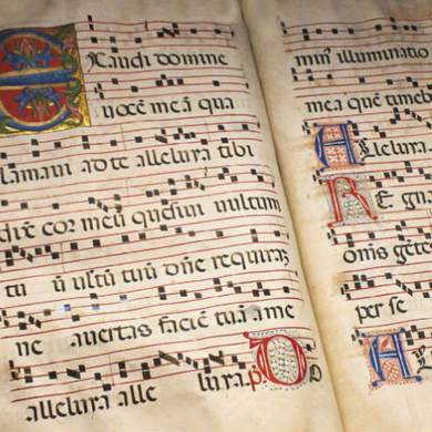 Immagine evento MAM DAY