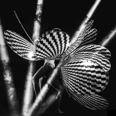 immagine Evento Happyticket