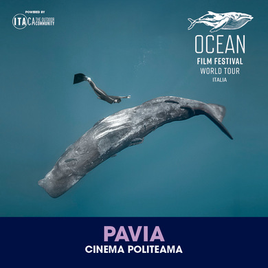 Locandina evento OCEAN FILM FESTIVAL WORLD TOUR ITALIA 2025