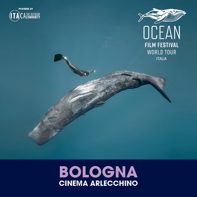 Locandina evento OCEAN FILM FESTIVAL WORLD TOUR ITALIA 2025