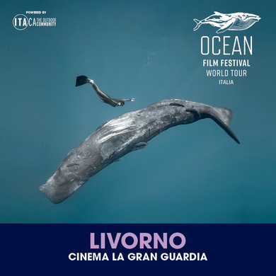 Locandina evento OCEAN FILM FESTIVAL WORLD TOUR ITALIA 2025