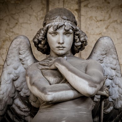 immagine Evento Happyticket