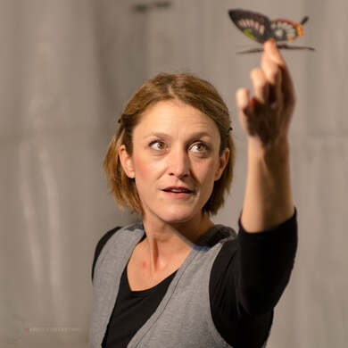 immagine Evento Happyticket