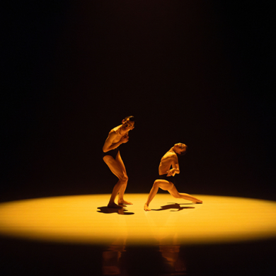 Locandina evento DIVINE MONSTERS