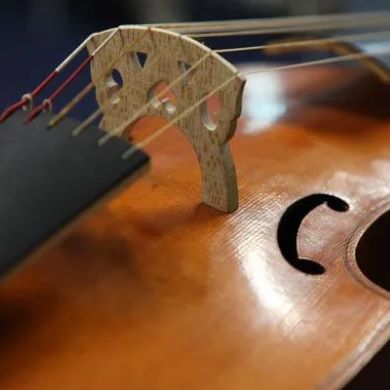 immagine Evento Happyticket