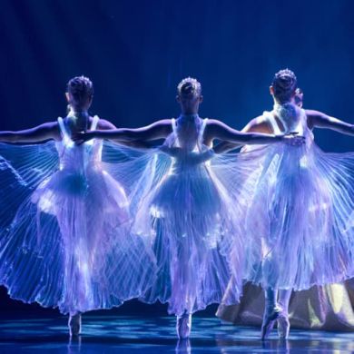 Locandina evento Ballet of Lights - Gift Card