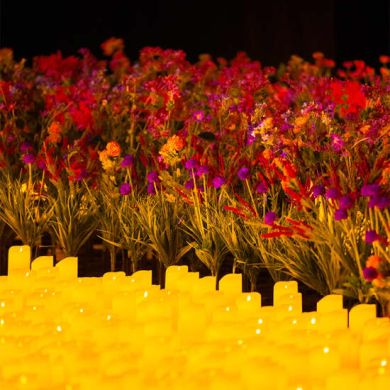 immagine Evento Happyticket