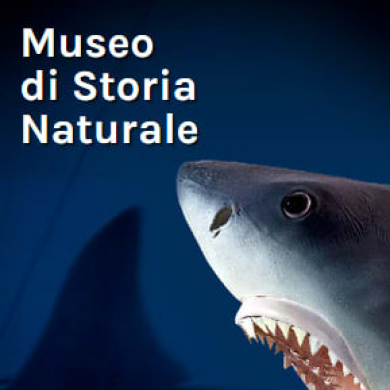Locandina evento MUSEO DI STORIA NATURALE