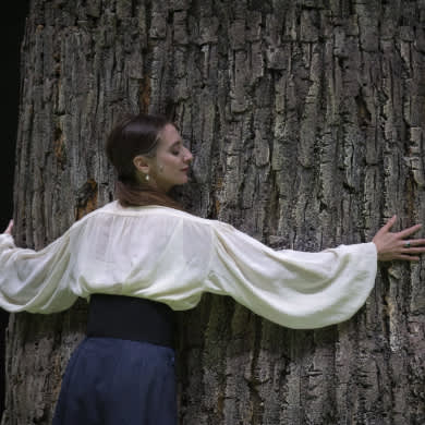 immagine Evento Happyticket