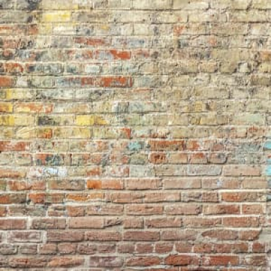 Immagine evento IL MURO
