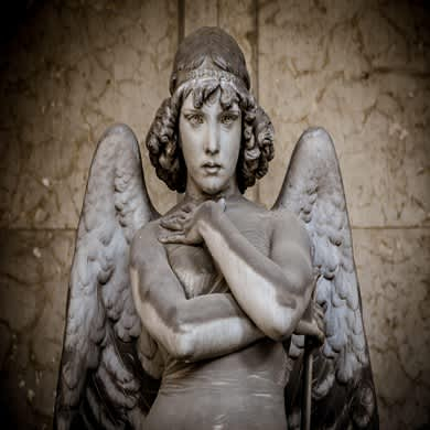 immagine Evento Happyticket