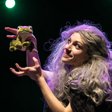 Immagine evento CENTRO TEATRALE DA PONTE - IL PRINCIPE RANOCCHIO