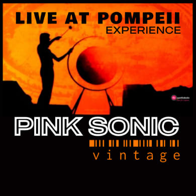 Immagine evento PINK SONIC VINTAGE - LIVE AT POMPEII EXPERIENCE
