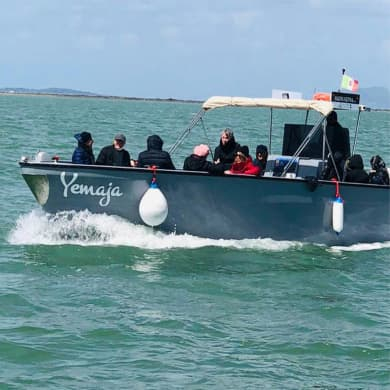 immagine Evento Happyticket