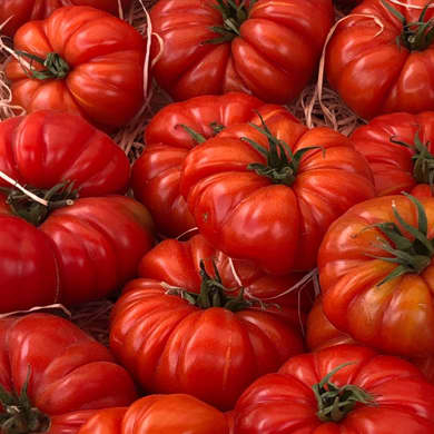 Immagine evento L’ULTIMA CENA