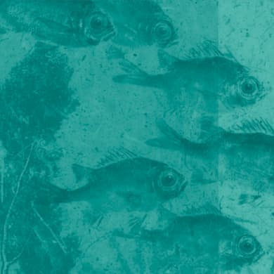 Locandina evento PETIT #2