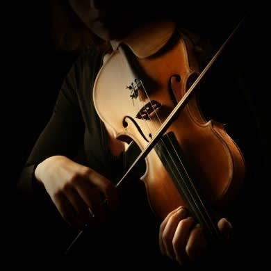 Locandina evento LE QUATTRO STAGIONI DI VIVALDI