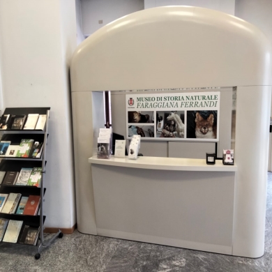 Locandina evento MUSEO DI STORIA NATURALE FARAGGIANA FERRANDI