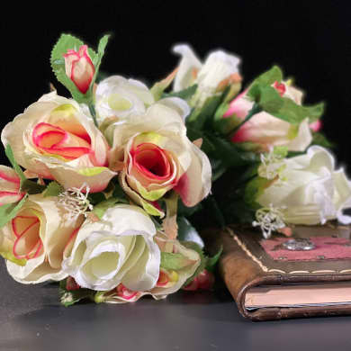 immagine Evento Happyticket