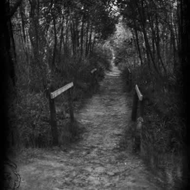 immagine Evento Happyticket