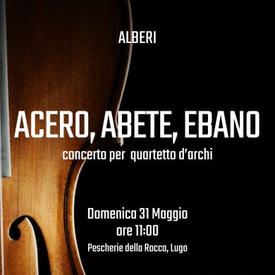 Immagine evento ACERO, ABETE, EBANO
