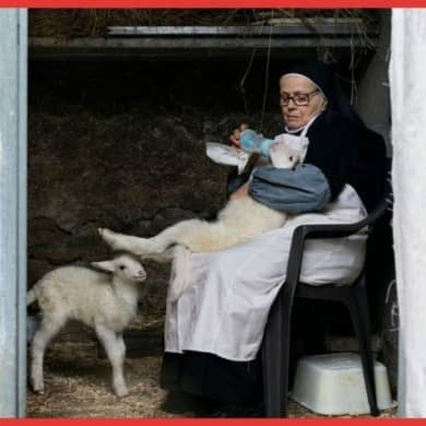 immagine Evento Happyticket