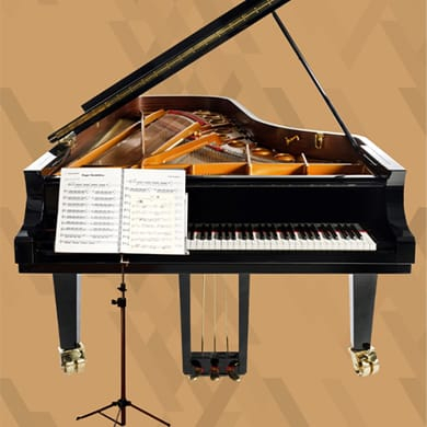 Immagine evento MATTEO MANCINI / GIUSEPPE TOIA - RECITAL